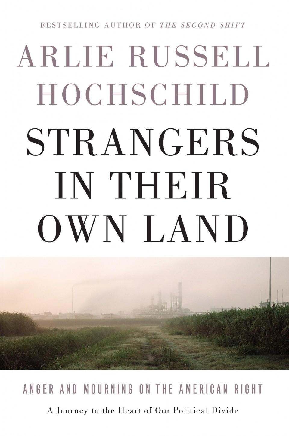 Book cover of 'Strangers in Their Own Land'