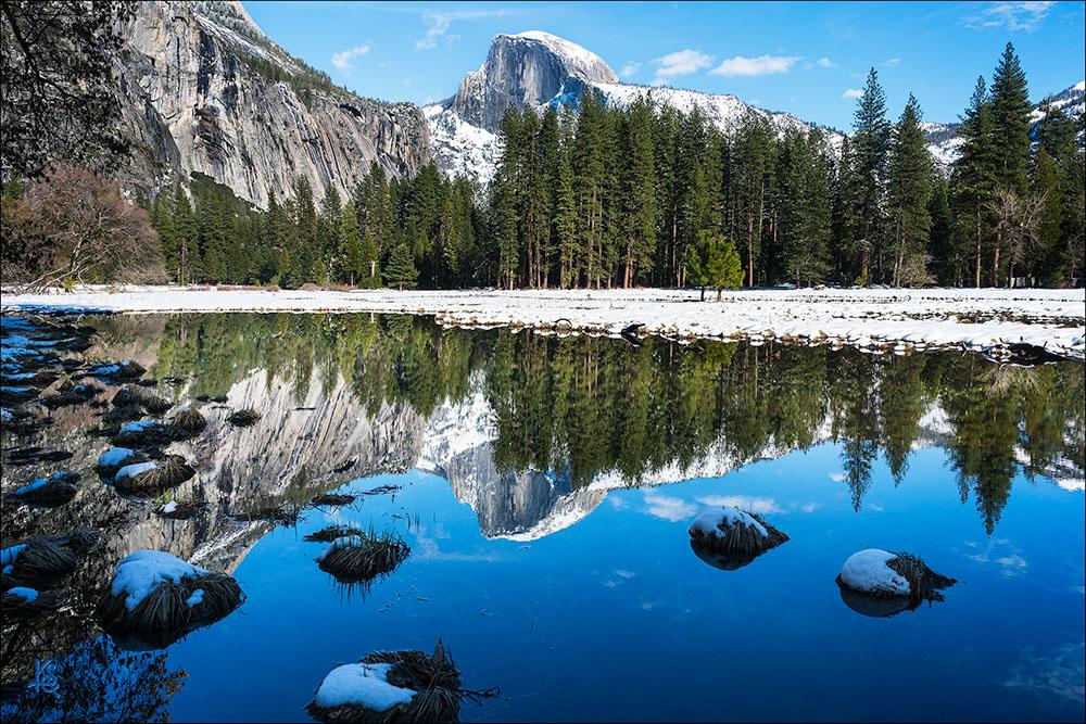 Cooks Meadow Reflection