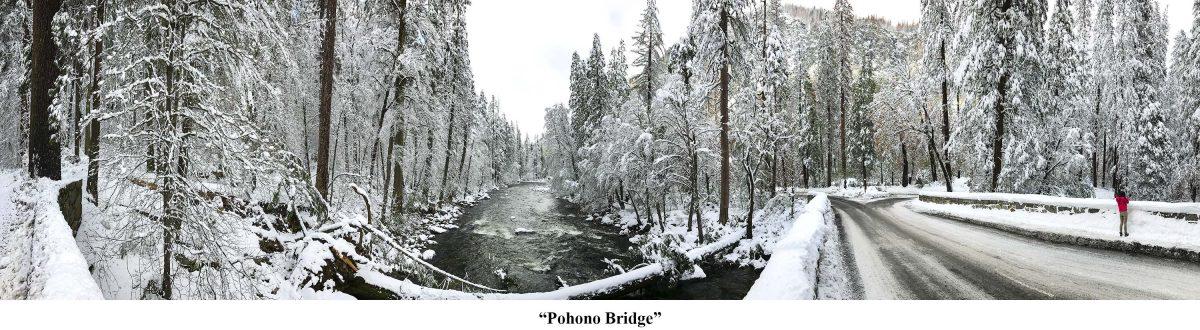 The annual open studio tour gives you the chance to meet nearly 100 artists and enjoy the scenic Sierra foothills