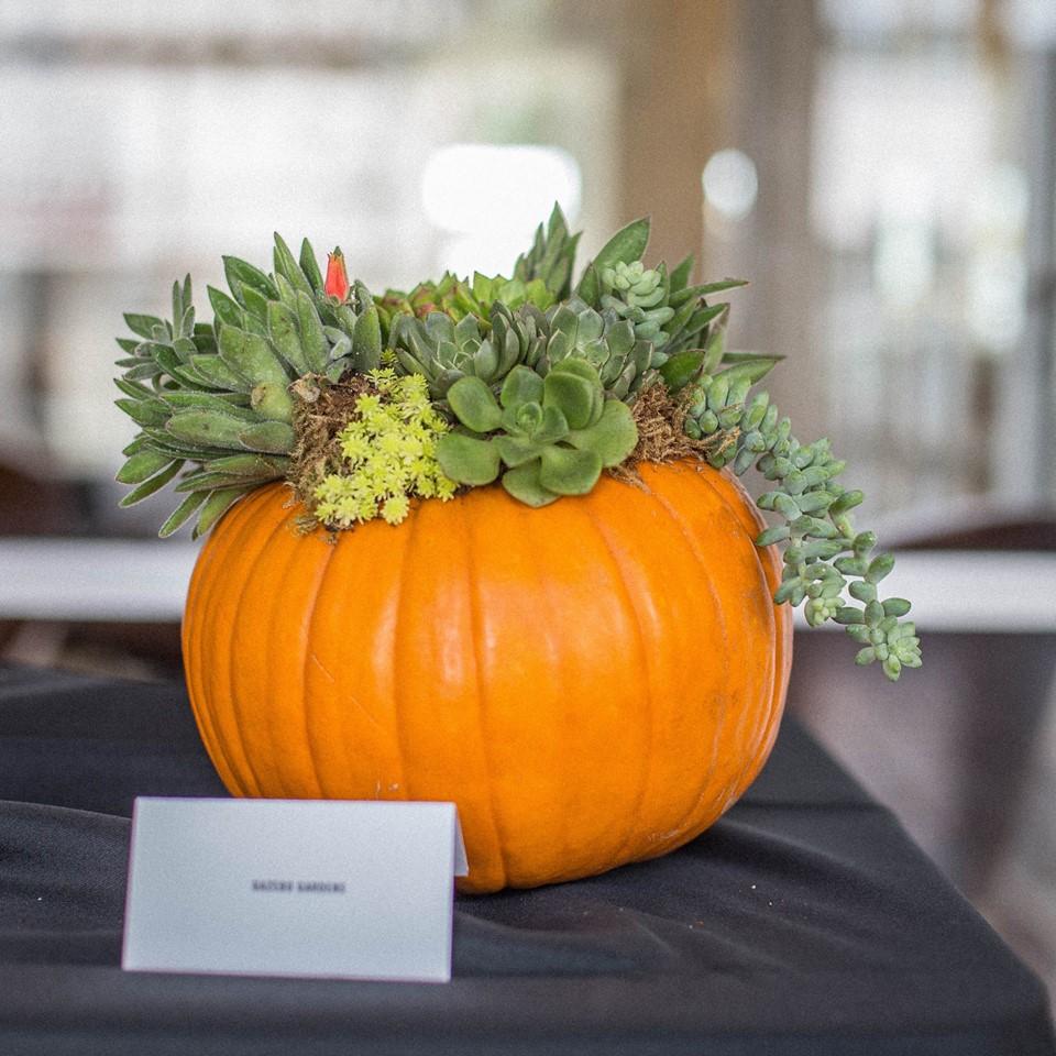 Ginny Burdick's A Sense of Place gallery hosts a national pastel show. Also: Check out exhibitions at Fig Tree Gallery, Spectrum Art Gallery, Jeffrey Scott Gallery and Gallery 25