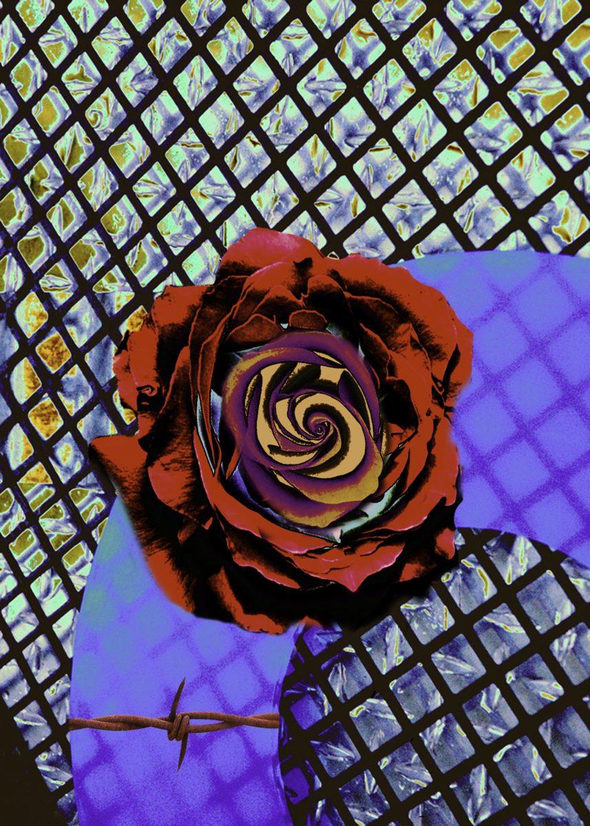 Ginny Burdick's A Sense of Place gallery hosts a national pastel show. Also: Check out exhibitions at Fig Tree Gallery, Spectrum Art Gallery, Jeffrey Scott Gallery and Gallery 25