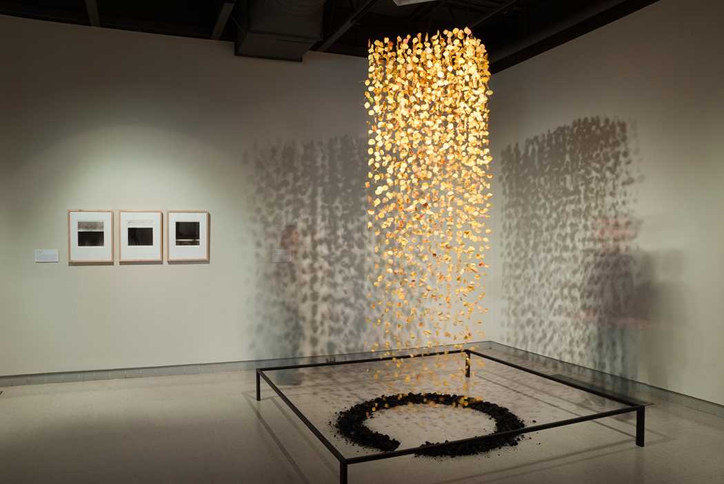 Critic's choice: 'Rethinking Fire' sparks questions at the Fresno Art Museum