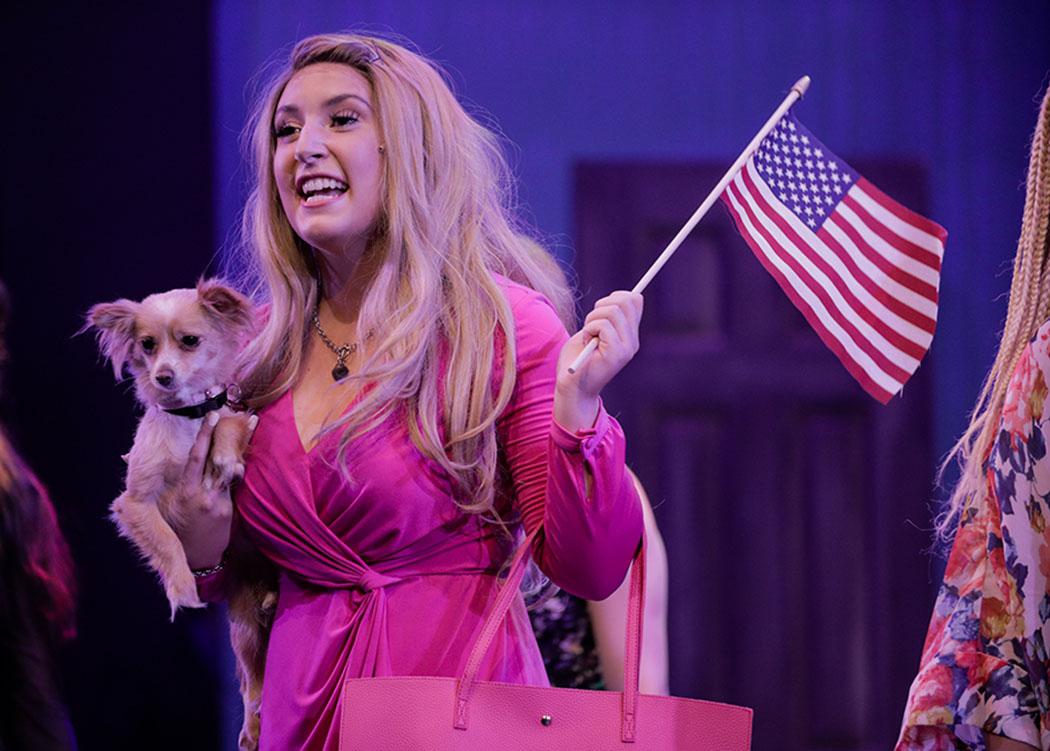 For Sarah Rosenthal in 'Legally Blonde,' opposites attract in an Elle of a role