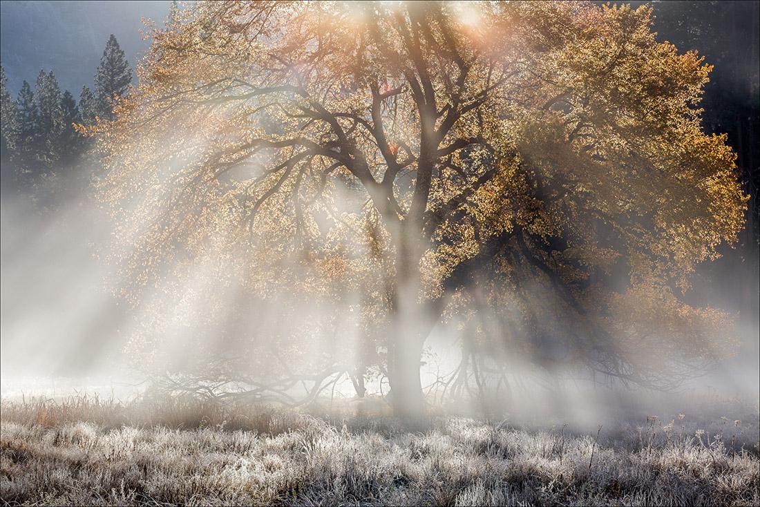 Sierra Art Trails combines the foothills and art. What's not to love?