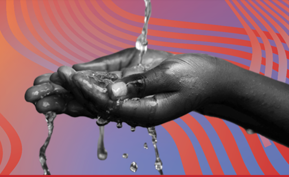 How do we feed ourselves? Nikiko Masumoto is a great person to ask.