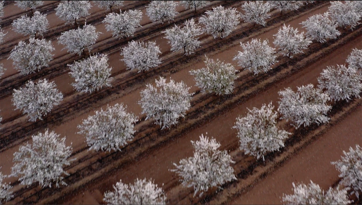 In final digital concert of the season, the Fresno Philharmonic soars in a way it's never done before