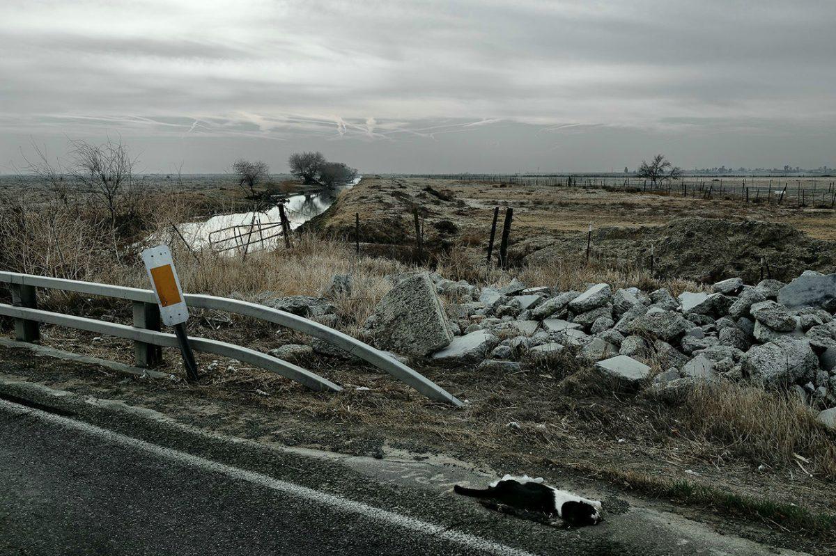'Home Fires' is where photographer Bruce Haley's head is