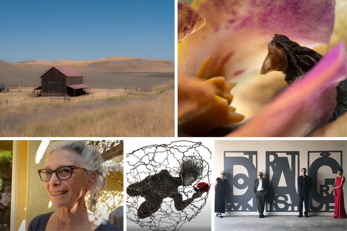3 Picks for October ArtHop: Fig Tree, Downtown Artist Gallery, Spectrum