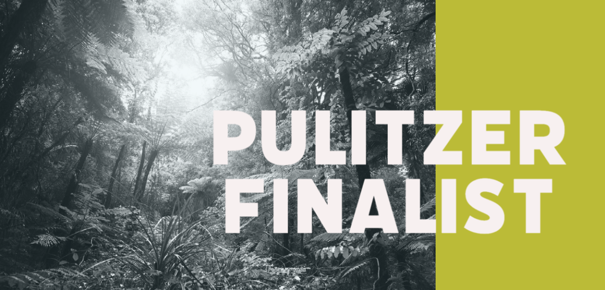 Fresno State's Mai Der Vang basks in national recognition for 'Yellow Rain,' her powerful excavation of Hmong history