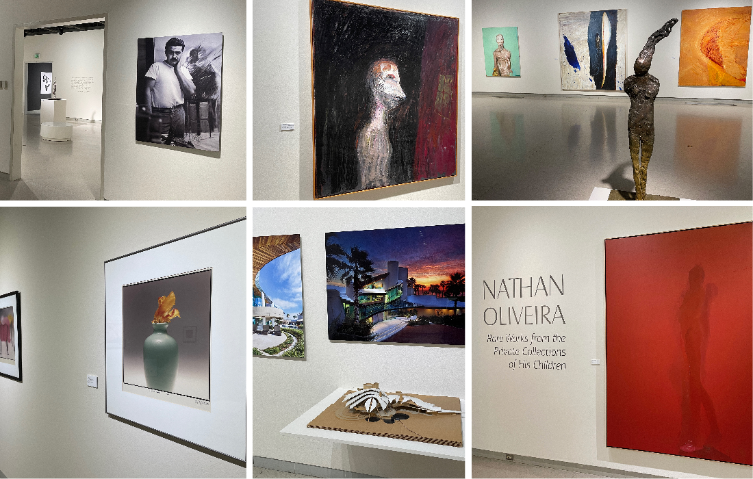 A strong slate of new exhibitions opens today at the Fresno Art Museum